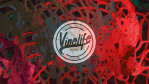 vinelife church